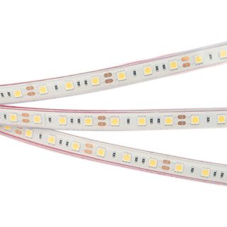 Светодиодная лента герметичная RTW-PFS-B60-13mm 12V Cool 10K (14.4 W/m, IP68, 5060, 5m)