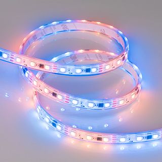 Светодиодная лента герметичная SPI-P-B60-12mm 12V RGB-PX3 (14.4W/m, IP66, 5060, 5m)