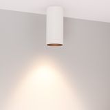 c_DL-12400-0310.jpg
