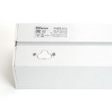 f_48584.jpg
