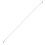 b_55059.jpg