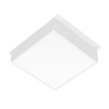 e_DL-04200-0006.jpg