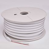 c_DL-03-0517.JPG