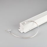b_DL-12600-0981.jpg
