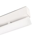 a_DL-12600-0343.jpg
