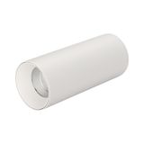 a_DL-12400-0444.jpg