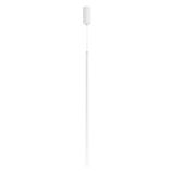 a_039535.jpg
