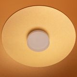 b_DL-12400-0507.jpg