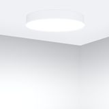 b_DL-12400-0200.jpg