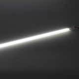 a_79961.jpg