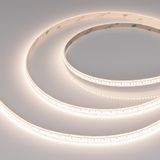 e_DL-06900-0497.jpg