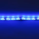 c_52706.jpg