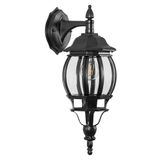 a_11098.jpg
