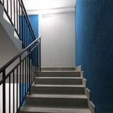 d_12902.jpg