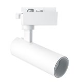 b_41611.jpg