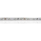 b_26949.jpg