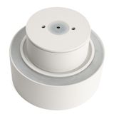 e_48407.jpg
