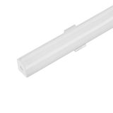 d_DL-01130-0040.jpg