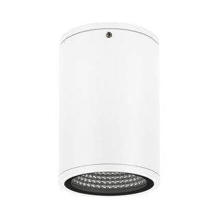 a_DL-14100-0059.jpg