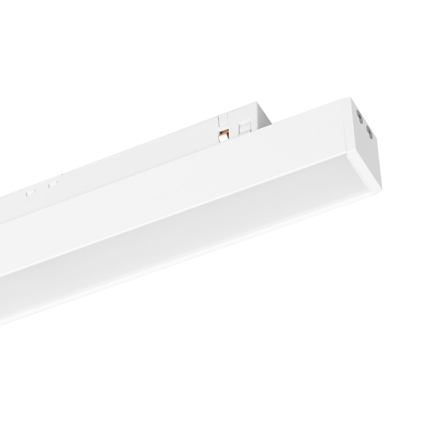 b_DL-12600-0509.jpg