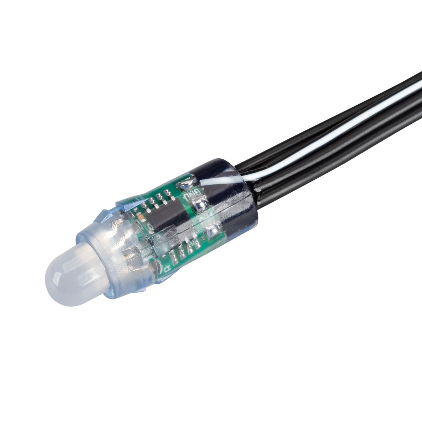 b_DL-10300-0001.jpg