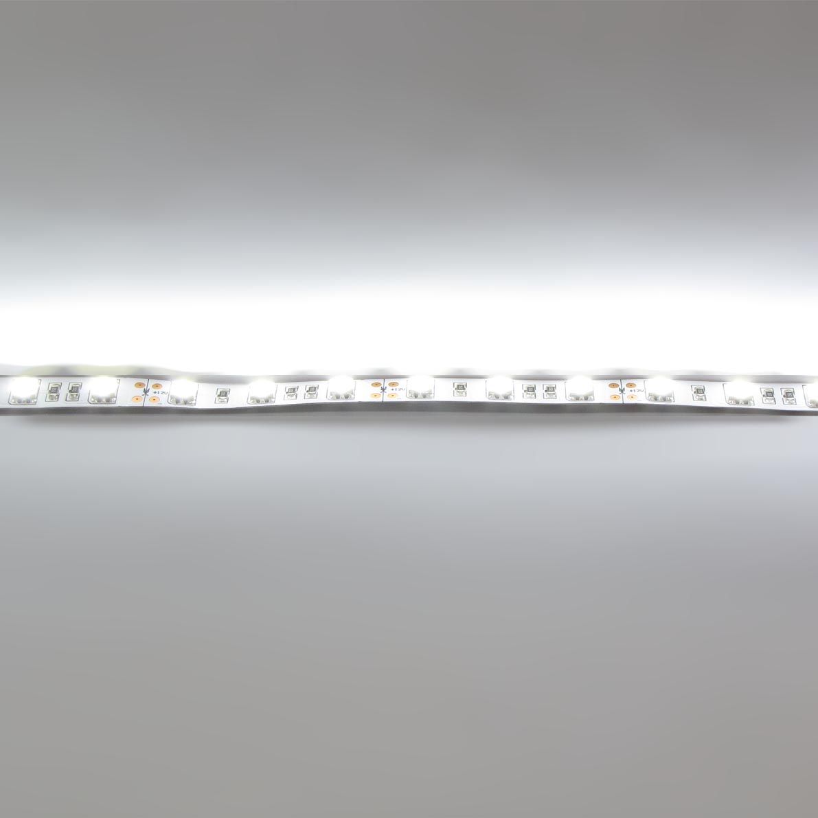 c_30905.jpg