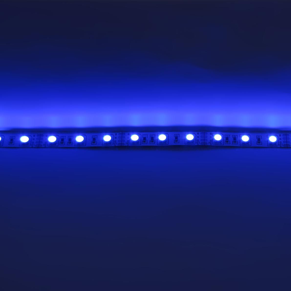 e_52713.jpg
