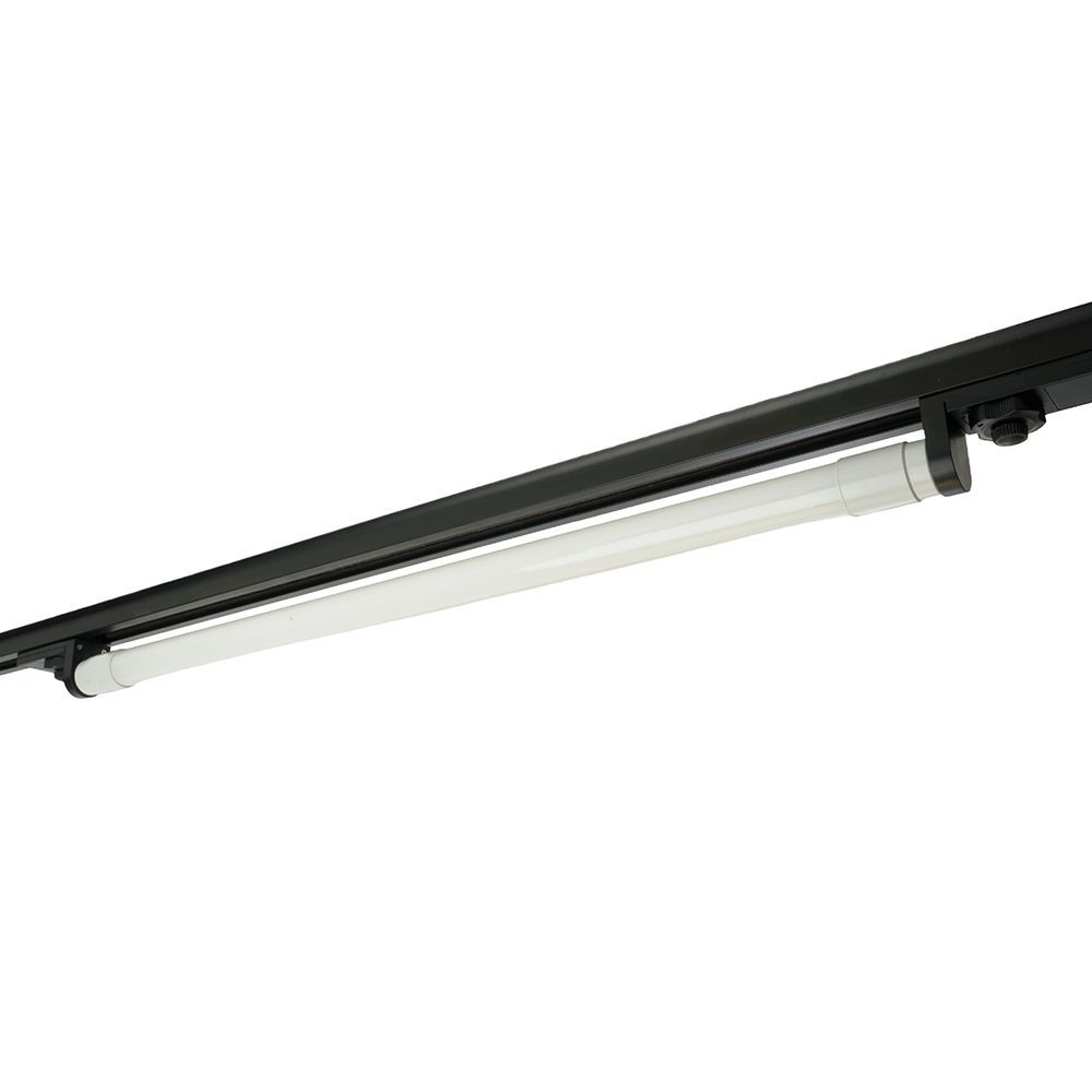 f_51038.jpg