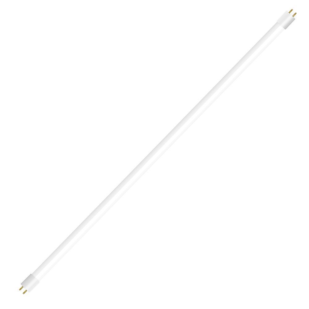 b_55058.jpg