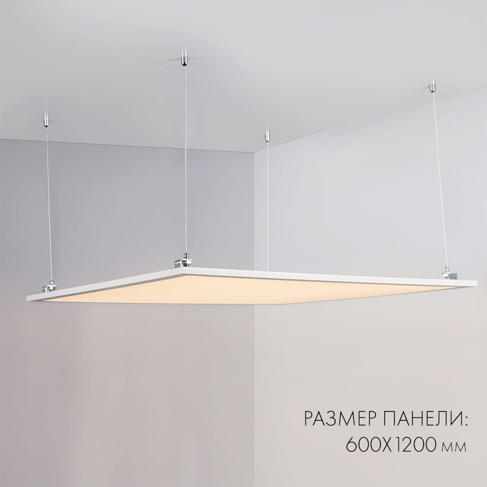 d_DL-04100-0041.jpg