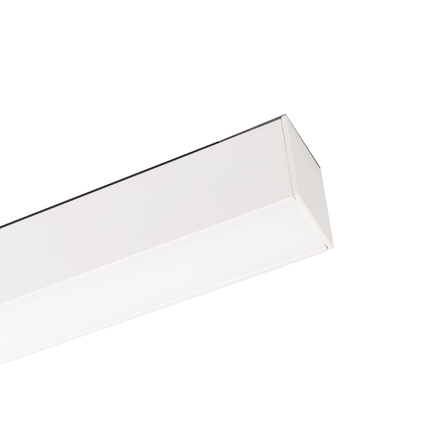 d_DL-12600-0307.jpg