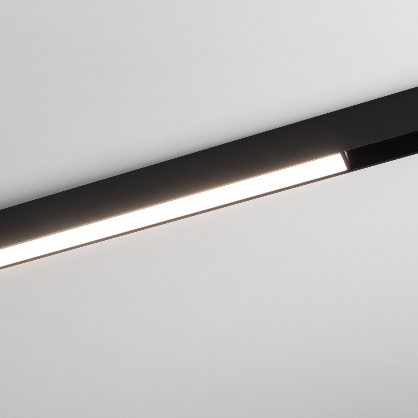 b_DL-12600-0268.jpg