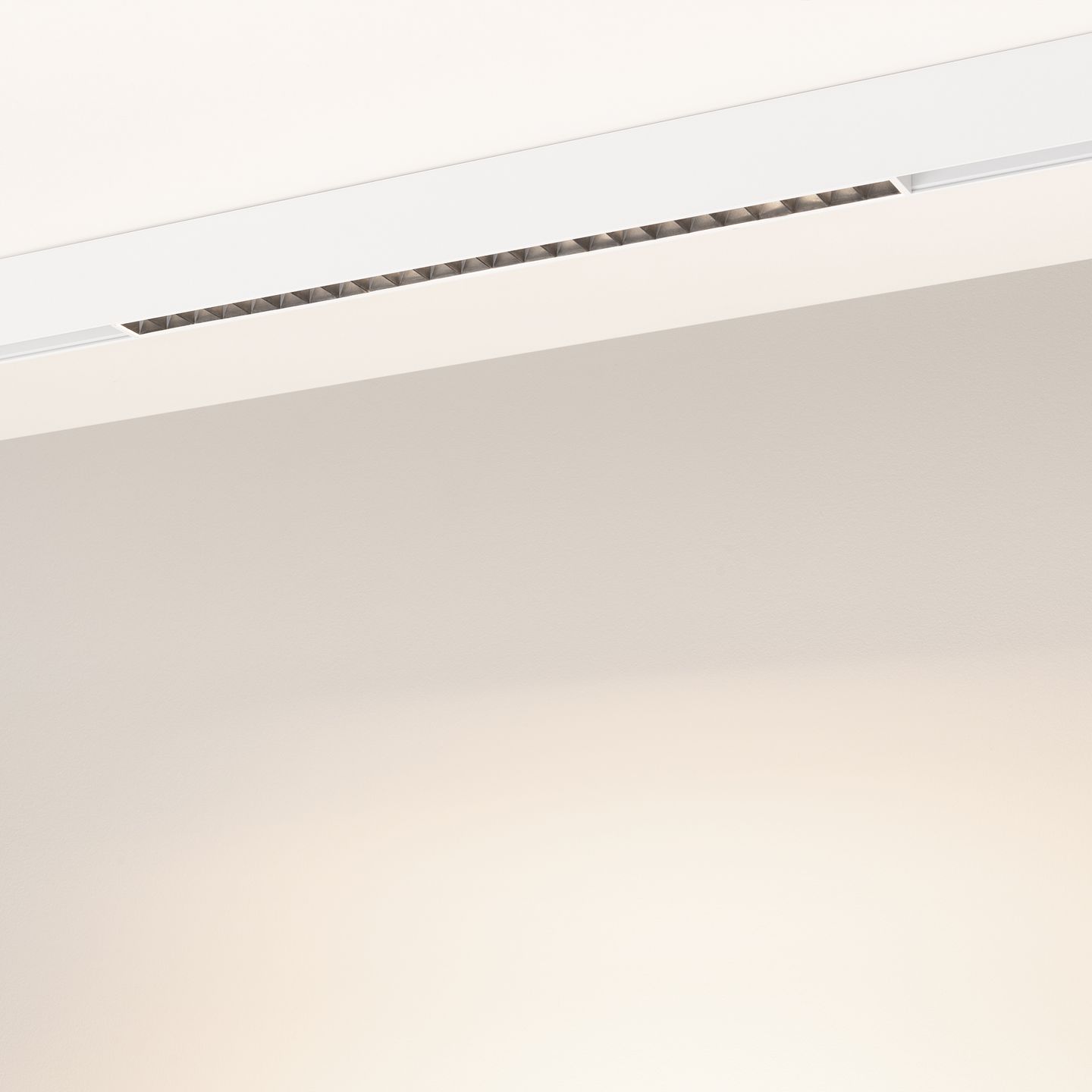 d_DL-12600-0550.jpg