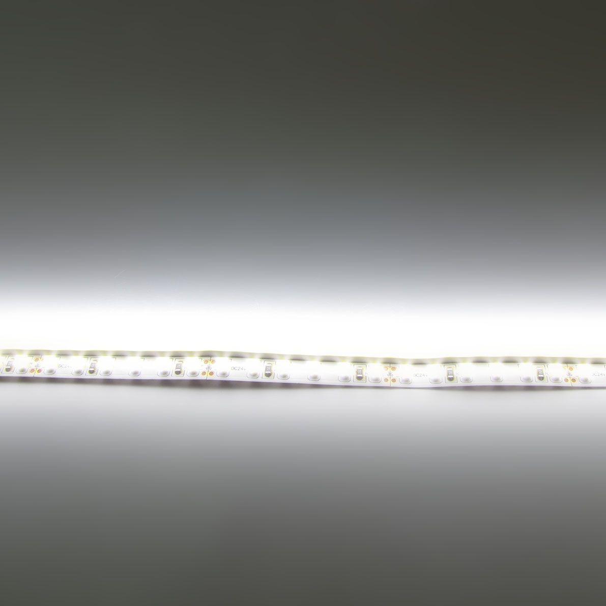 c_54281.jpg