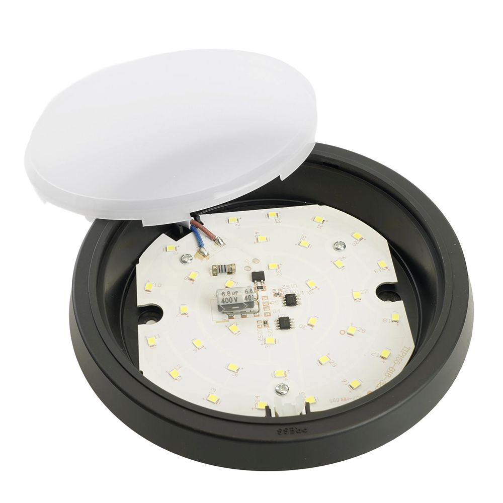 f_51476.jpg