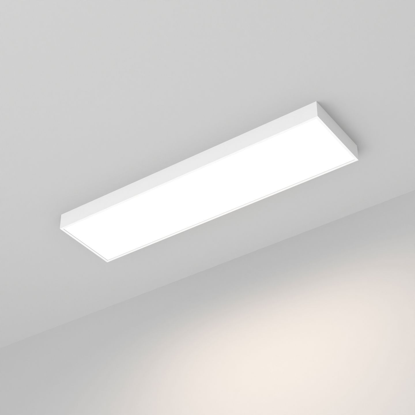 e_DL-04900-0003.jpg
