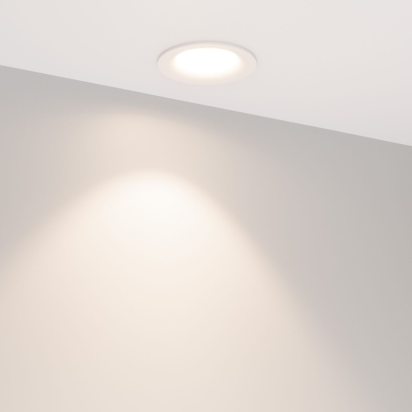 f_DL-04300-0195.jpg