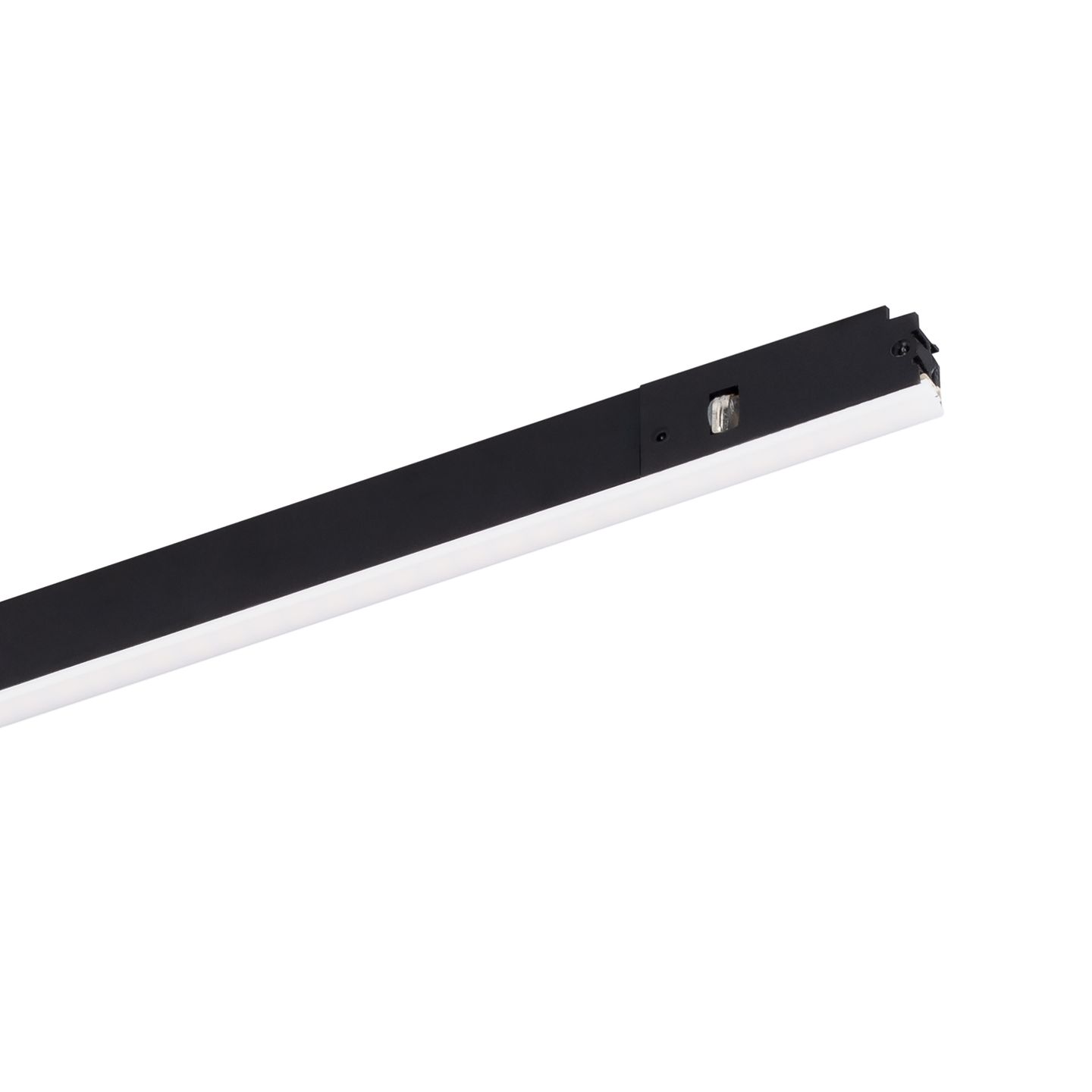 a_DL-12600-0426.jpg
